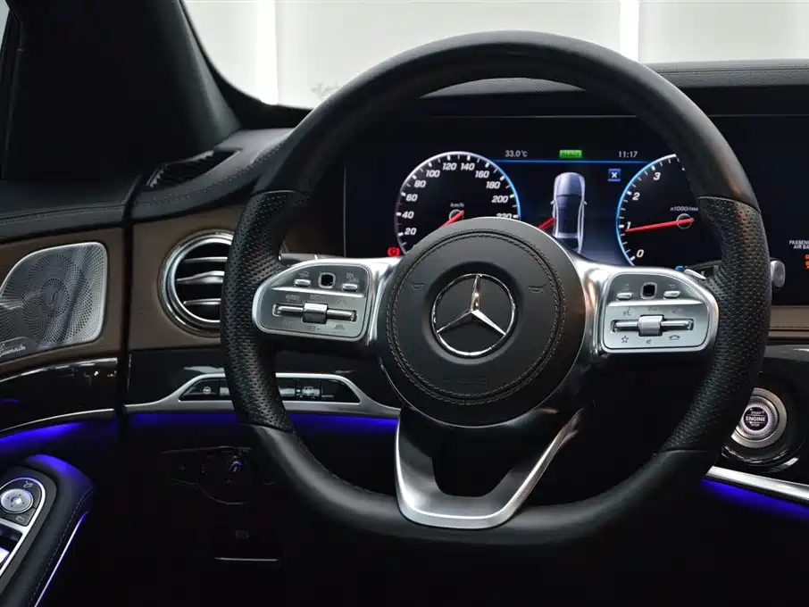 Mercedes-Benz S-Class 2020 S 450 L 4MATIC Collector's Version фото 14