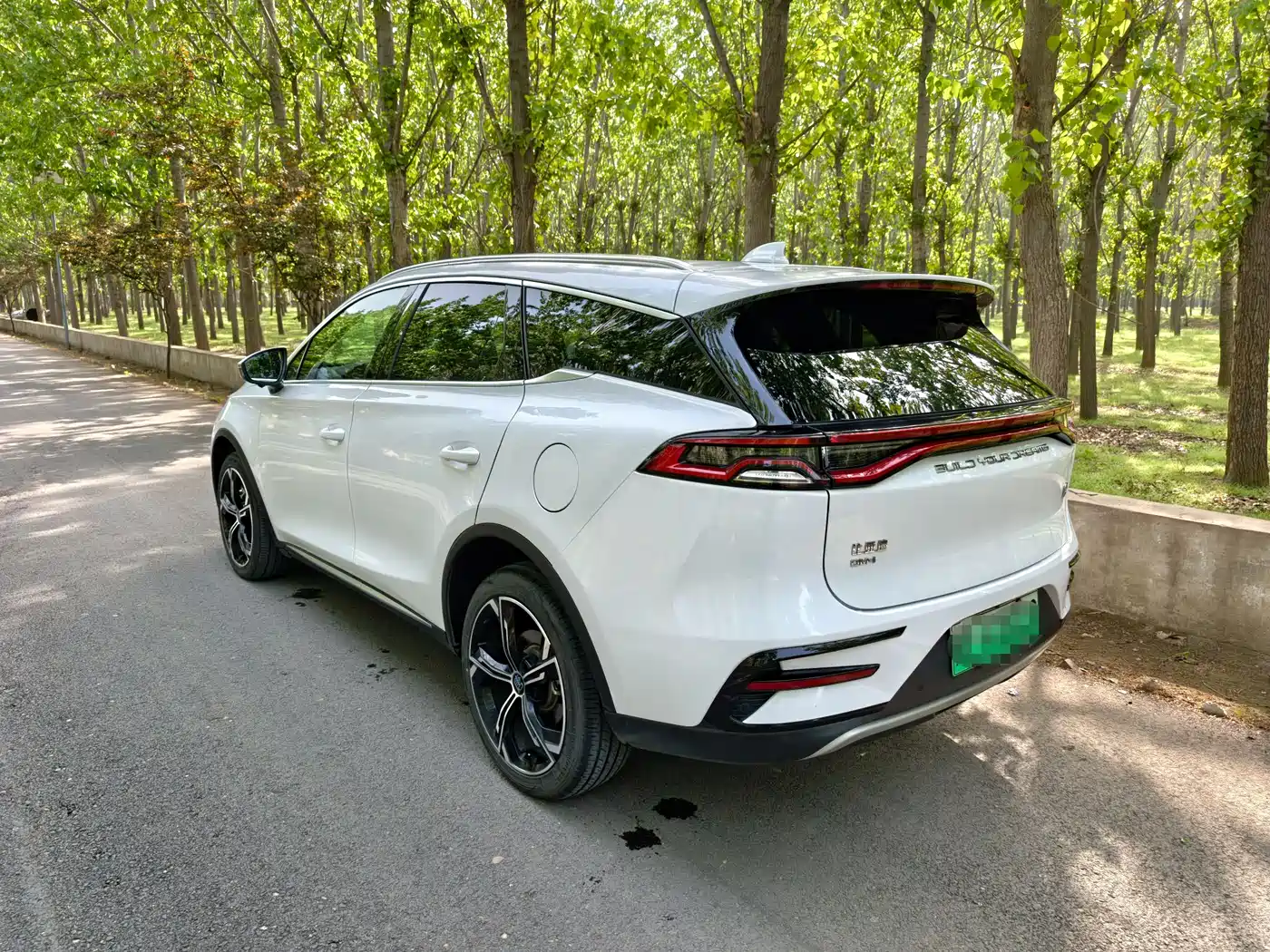 BYD Tang New Energy 2021 DM-i 112KM Premium фото 15