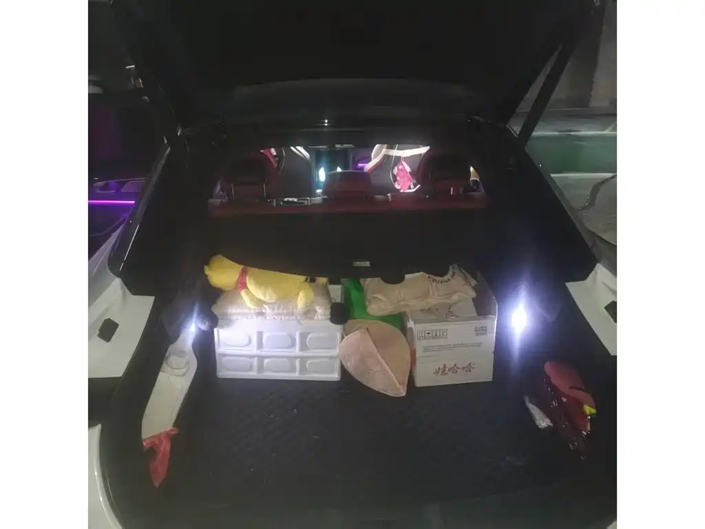 Hongqi H6 2023 2023 2.0T Premium Edition