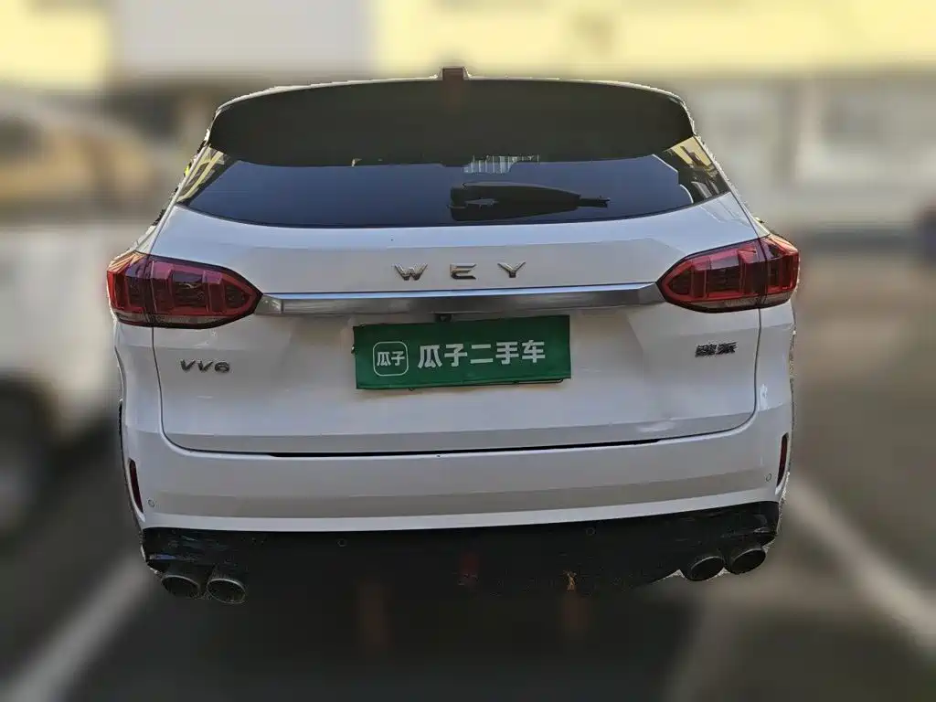 2021 WEY VV6