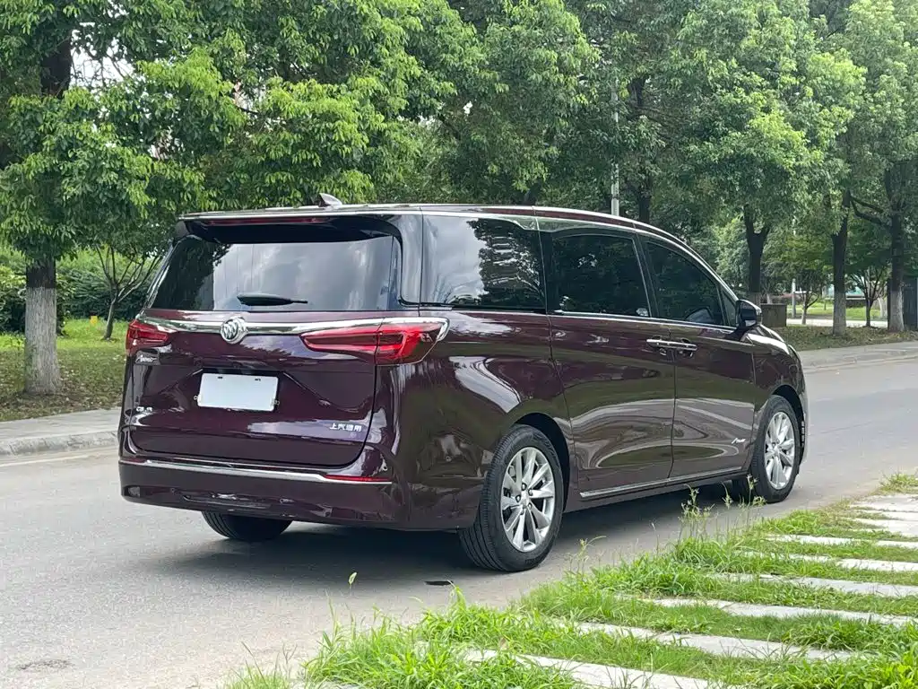 Фото 7 - Buick GL8