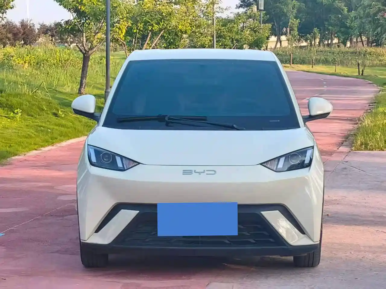 BYD Seagull 2024