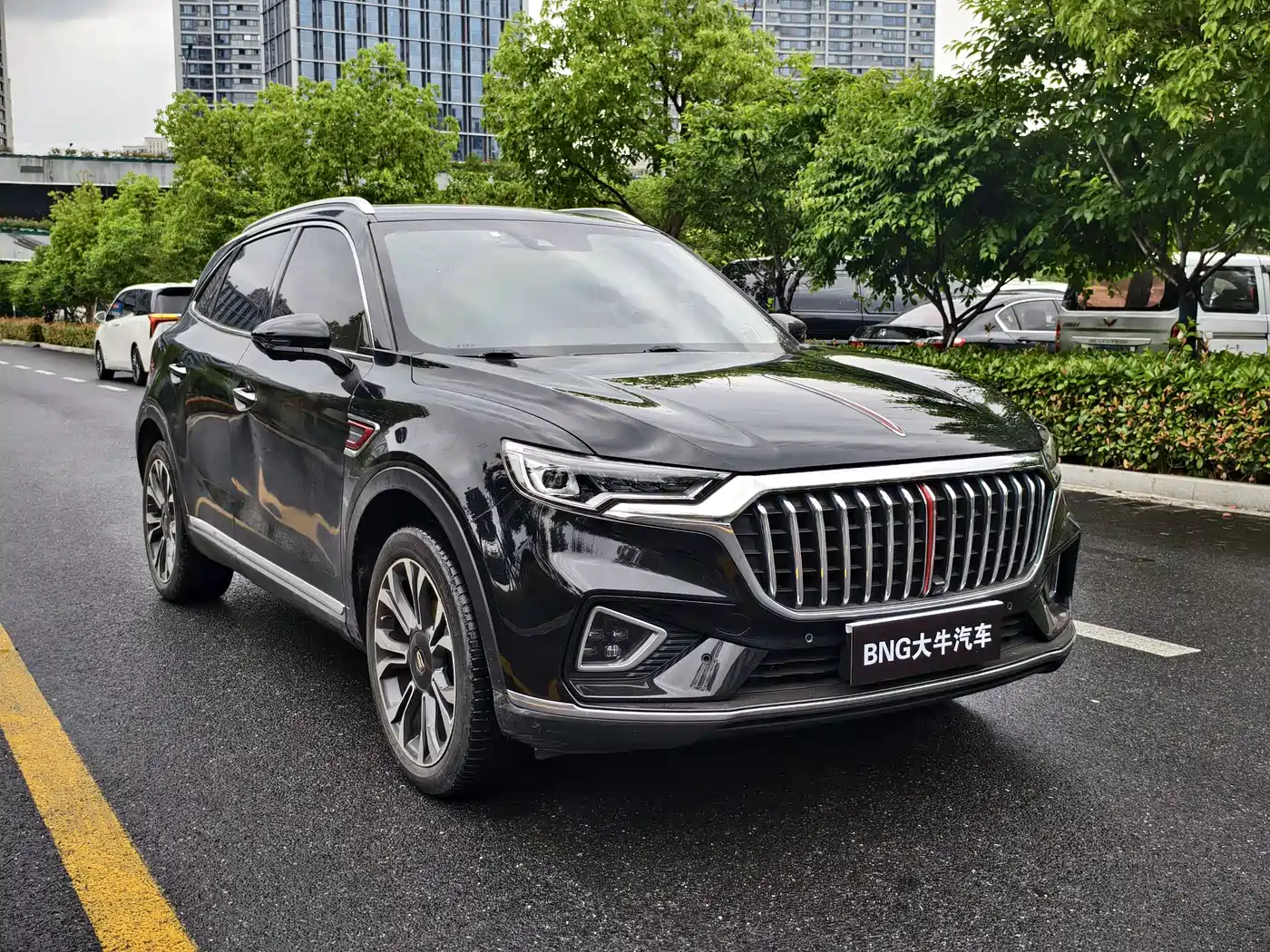 Hongqi HS5 2019 2.0T Intelligent Flagship 4WD Version фото 3