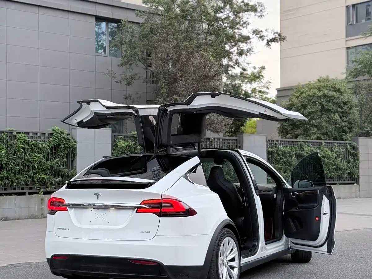 Tesla Model X 2017 2017 Model X 100D Long Range