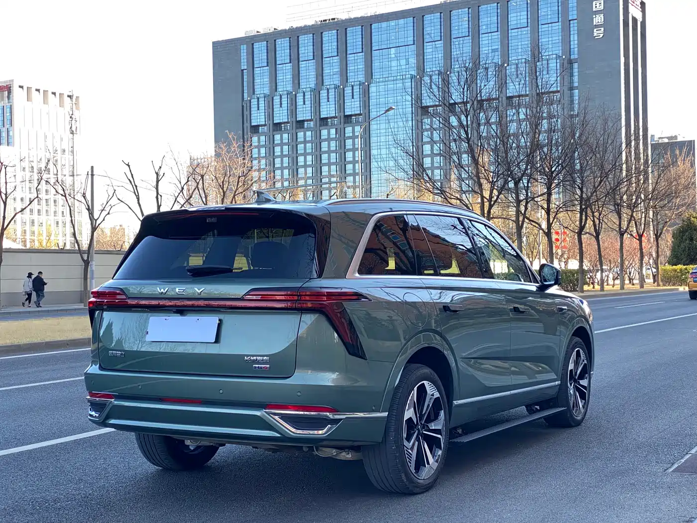 WEI PAI WEI BRAND BLUE MOUNTAIN