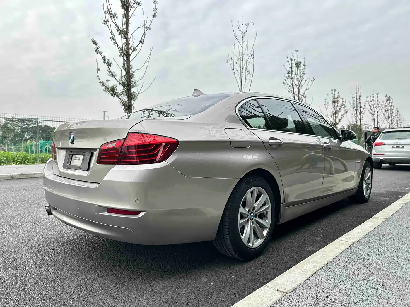 BMW 5 Series 2013 520Li Elegance фото 5