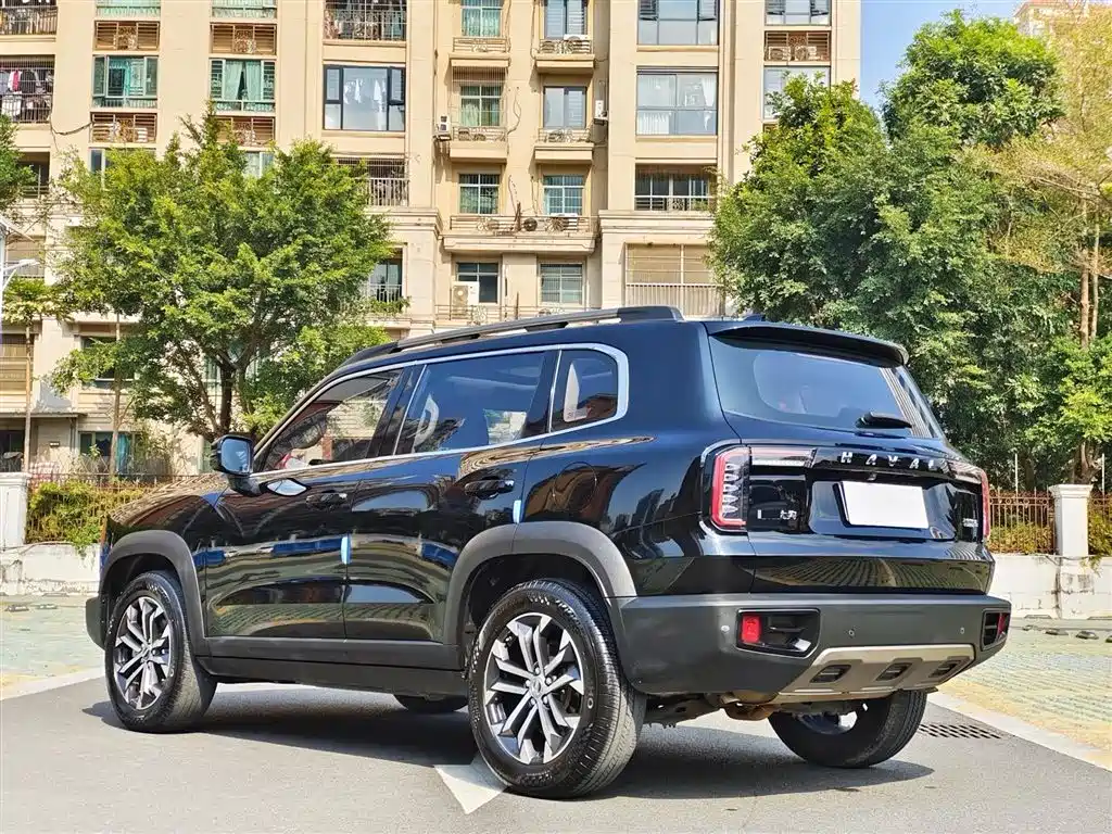 HAVAL BIG DOG
