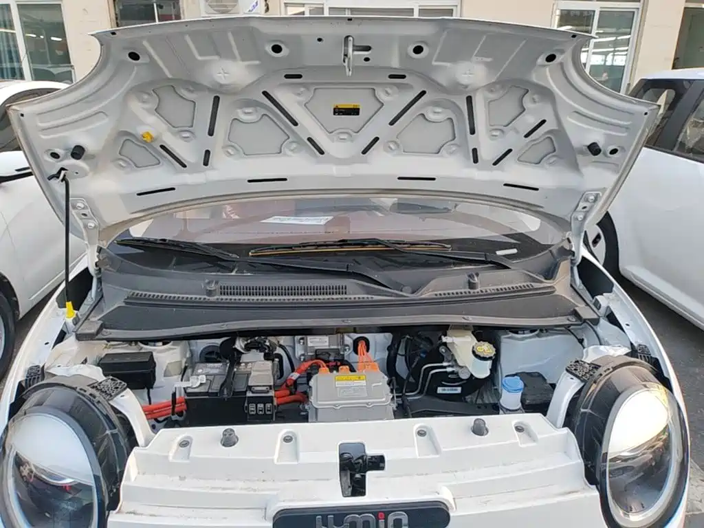 Changan Lumin 2026 2026 301km Treasure Edition