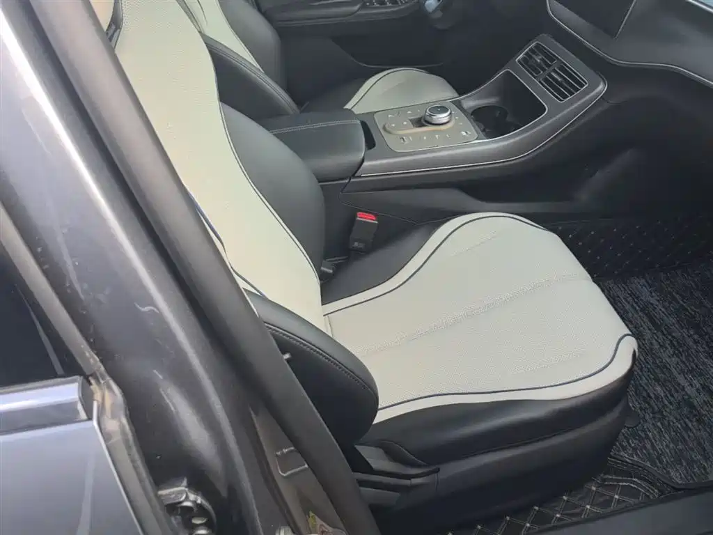BYD Destroyer 05 2023 Champion Edition DM-i 55KM Luxury фото 25
