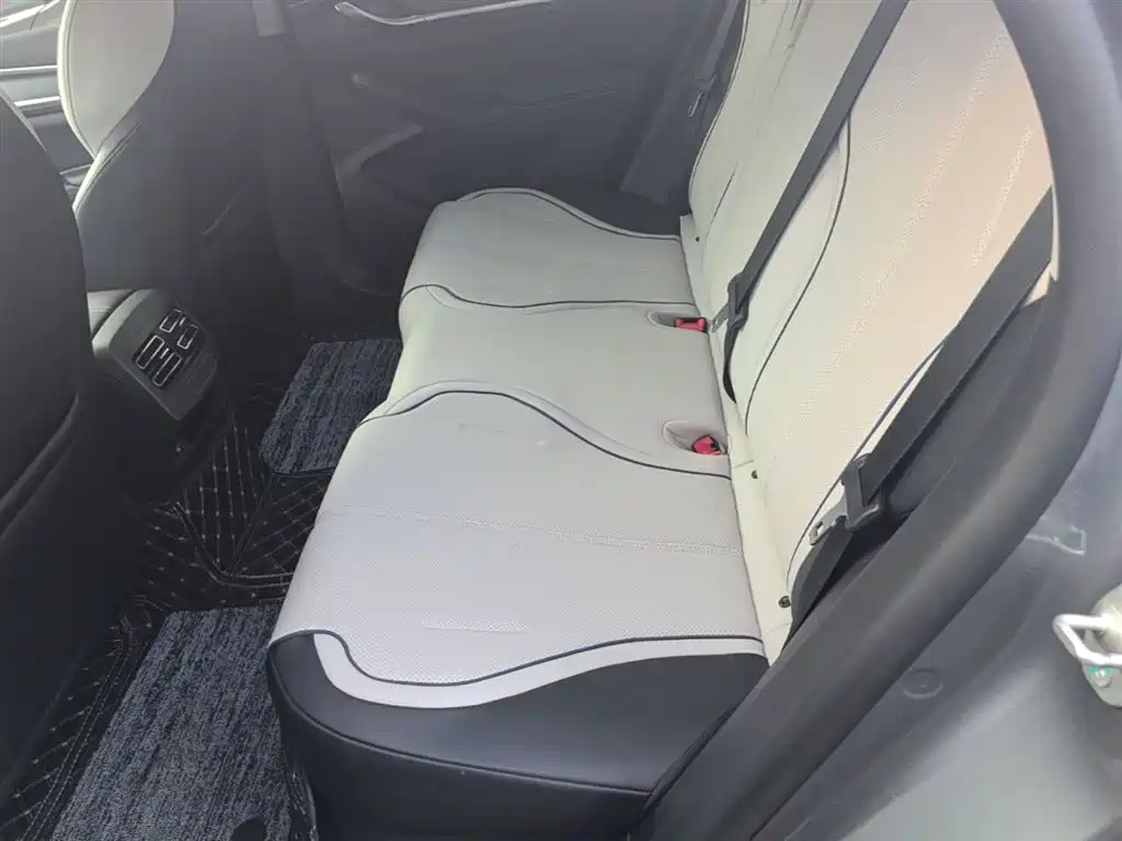 BYD Destroyer 05 2023 Champion Edition DM-i 55KM Luxury фото 17