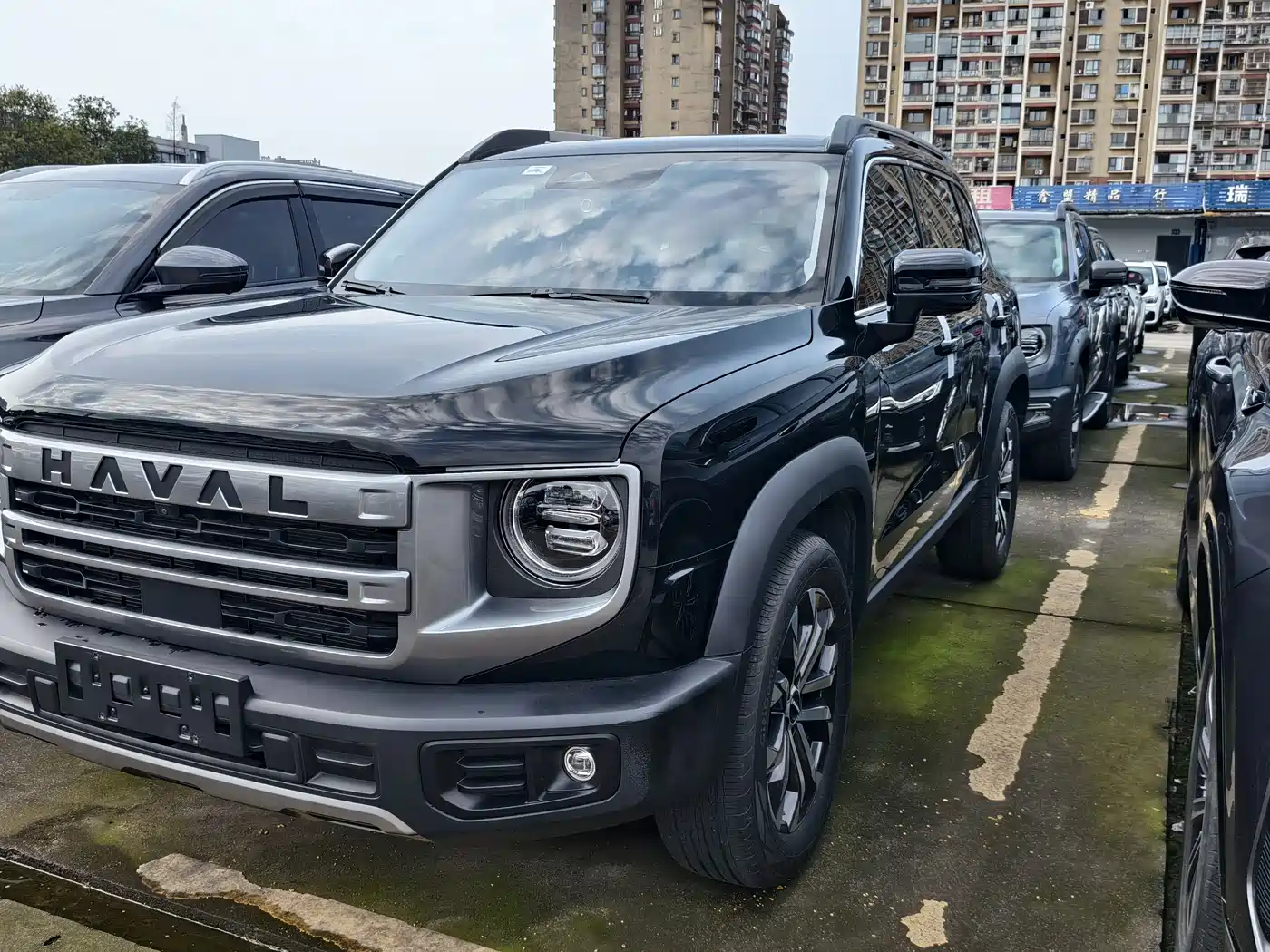 Haval Big Dog 2024 Model 1.5T DCT Labrador Edition