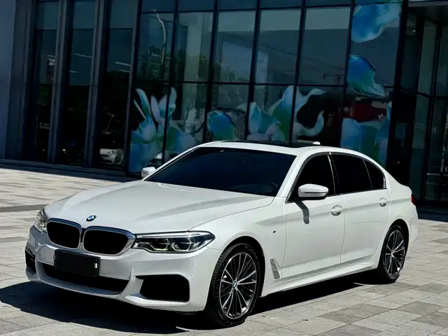 BMW 5 Series 2020 530Li Leading M Sport Package — фото 1