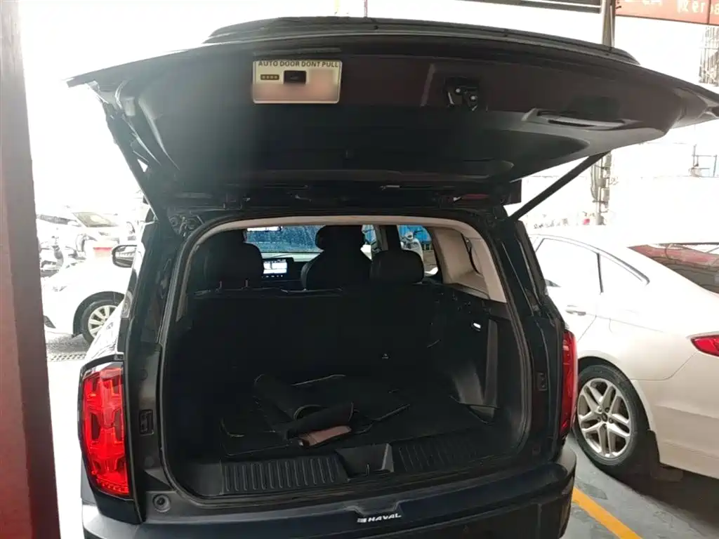 Haval Cool Dog 2022 1.5T DCT 2WD Trend Edition фото 19