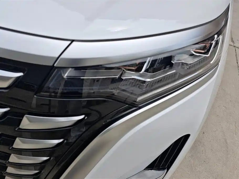 Denza D9 2022 DM-i 970 All-Wheel Drive Honor Edition фото 5
