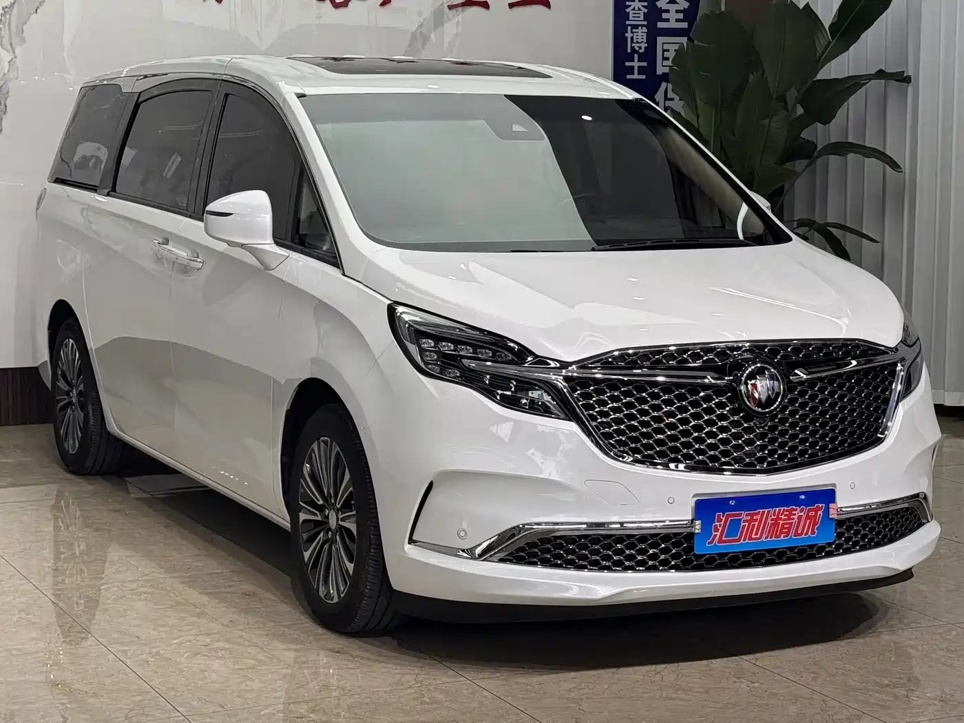 Buick GL8 2022 ES Landmark 653T Luxury фото 3