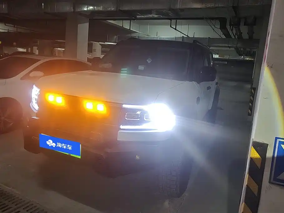 FANG CHENG BAO LEOPARD 5