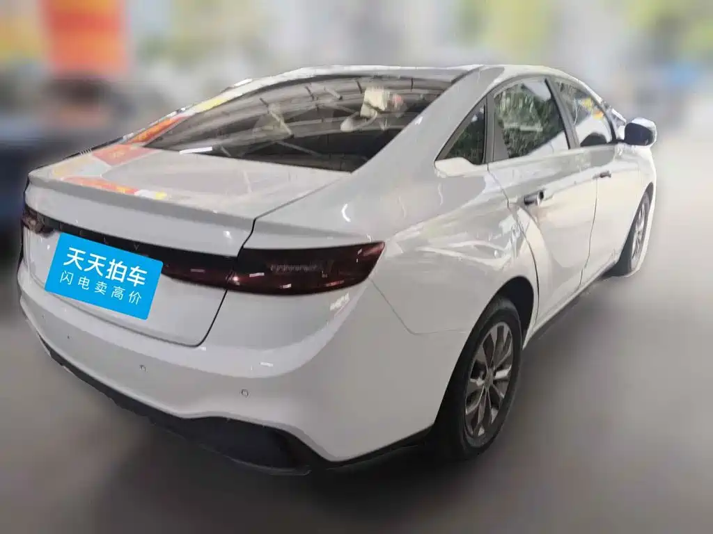 Geely Geometry A 2022 2022 Model Pro 430KM Travel Edition