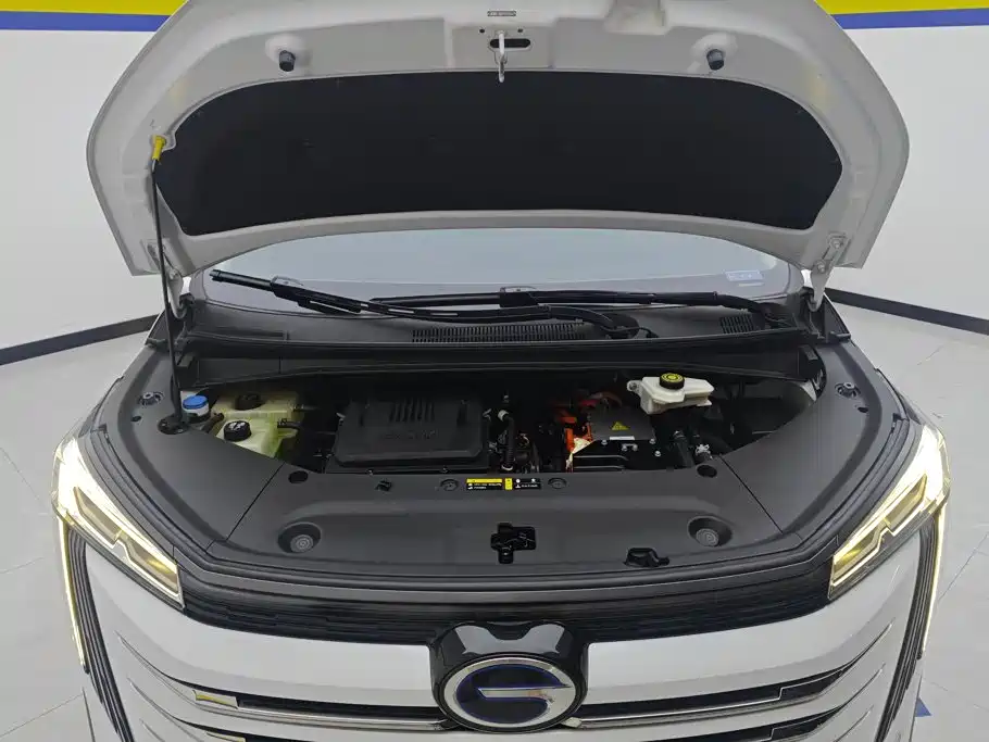 GAC Trumpchi Trumpchi E9 2023 2023 E9 MAX