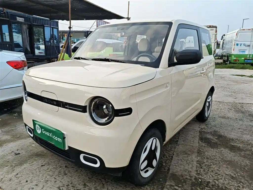 Geely Galaxy Panda 2025 Panda mini 210km Vitality Bear