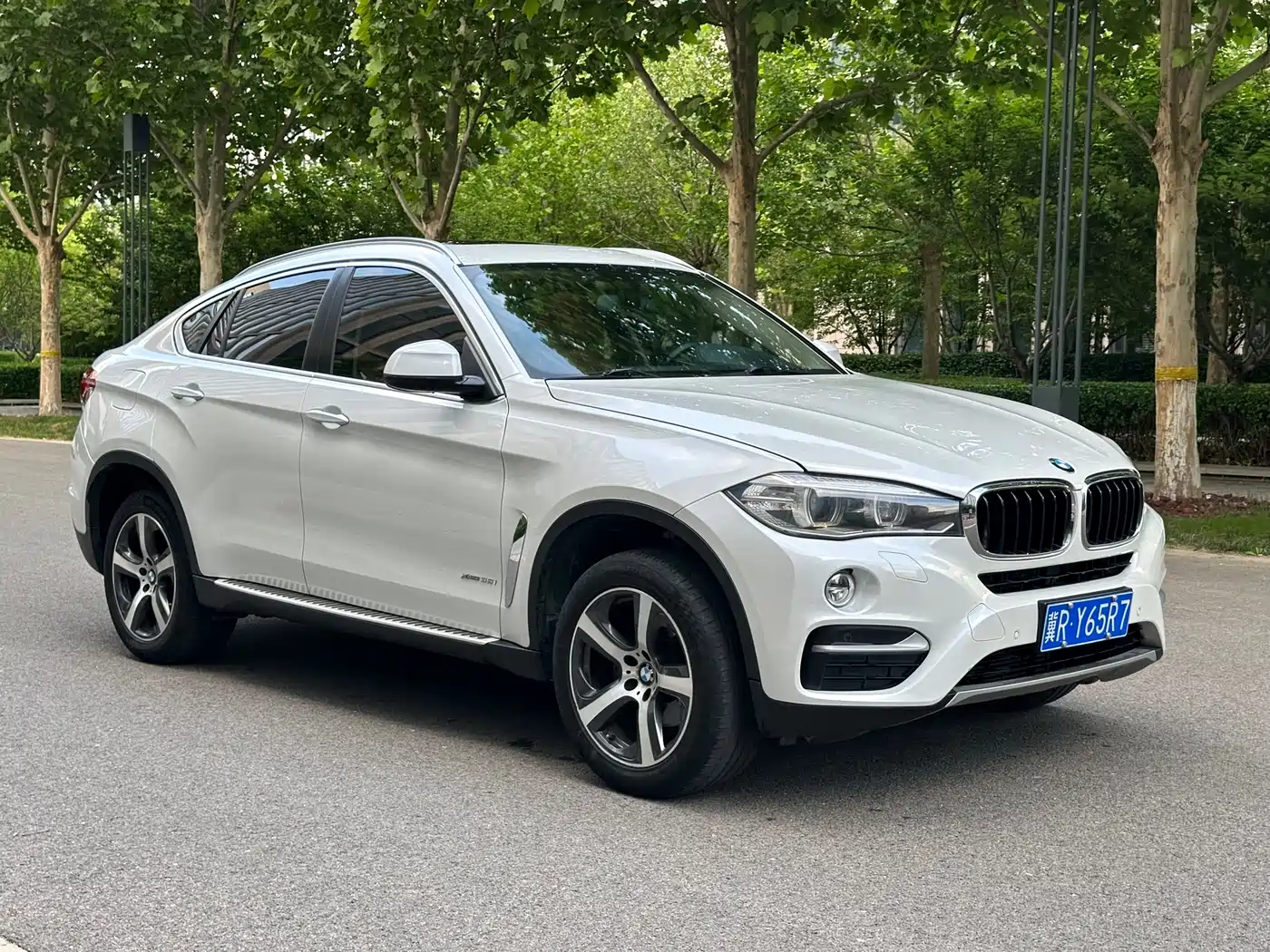 BMW X6 2015 xDrive35i Leading Type фото 3