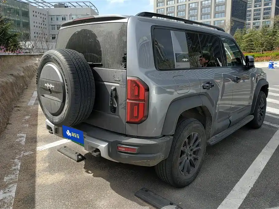 FANG CHENG BAO LEOPARD 5