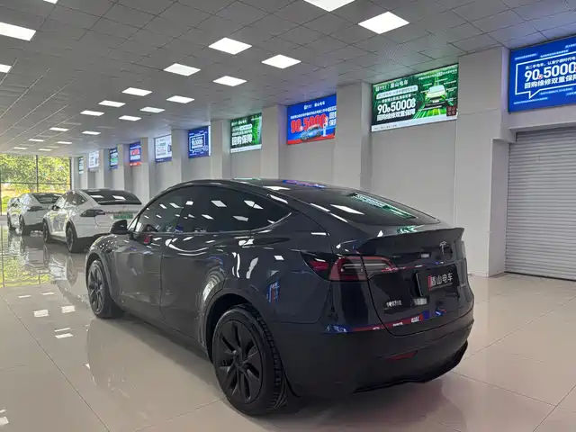 Tesla Model Y 2024 Rear-Wheel Drive Version — фото 4