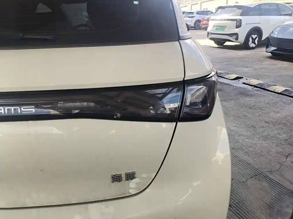BYD Dolphin 2026 2025 420km Freedom Edition