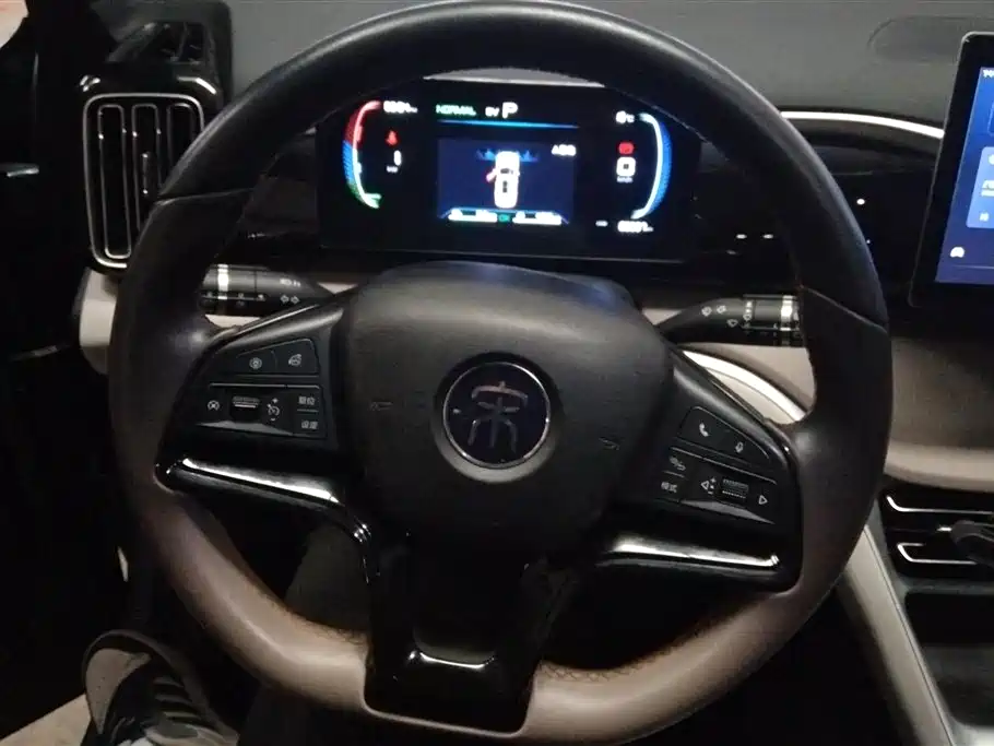 BYD Song Pro New Energy 2024 Glory Edition DM-i 71KM Surpassing фото 15