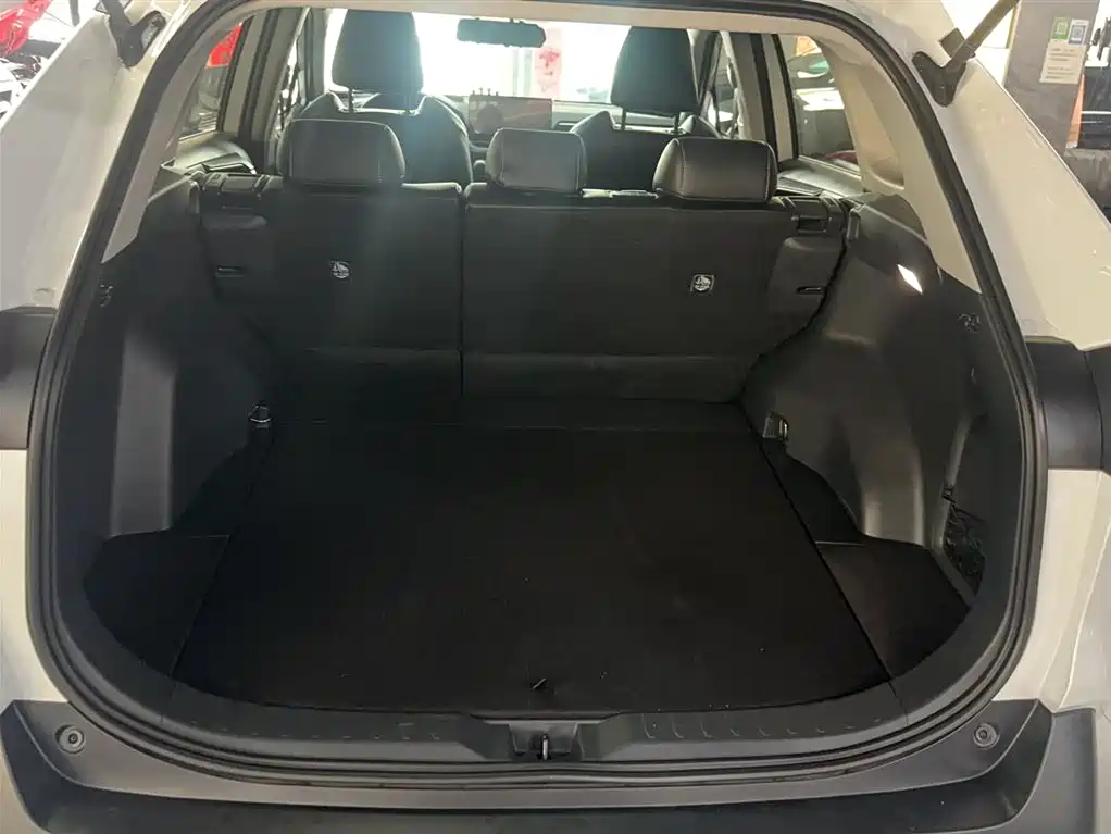 Toyota Wildlander 2023 2.0L CVT FWD LE фото 16