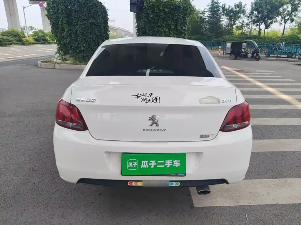 صورة 6 - Peugeot 301