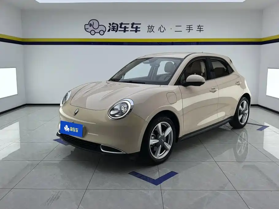  Ora Ora Good Cat 2022 Model Morandi Edition 400km Standard Range Luxury NCM