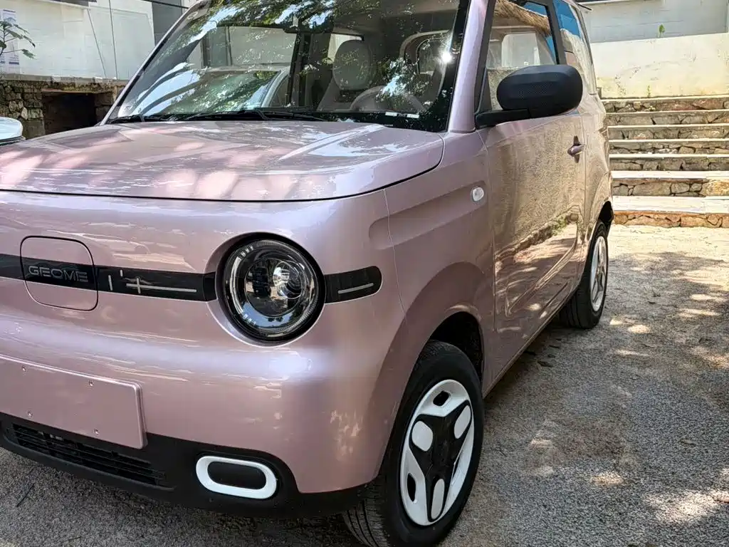 Geely Galaxy Panda 2026 2025 Model Year 210km Panda Kart