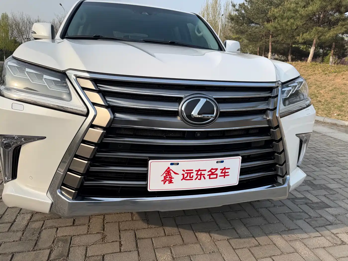 Lexus LX 2017 570 Prestige Luxury фото 10