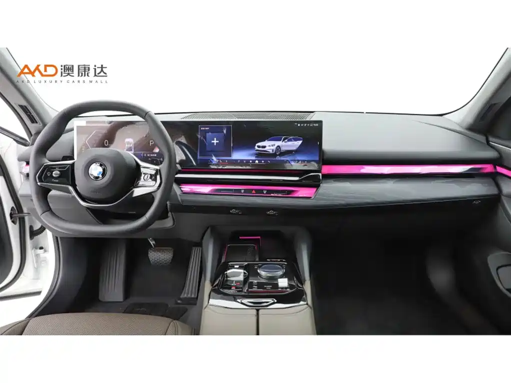 BMW 5 Series 2026 2024 530Li Leading Model Luxury Package