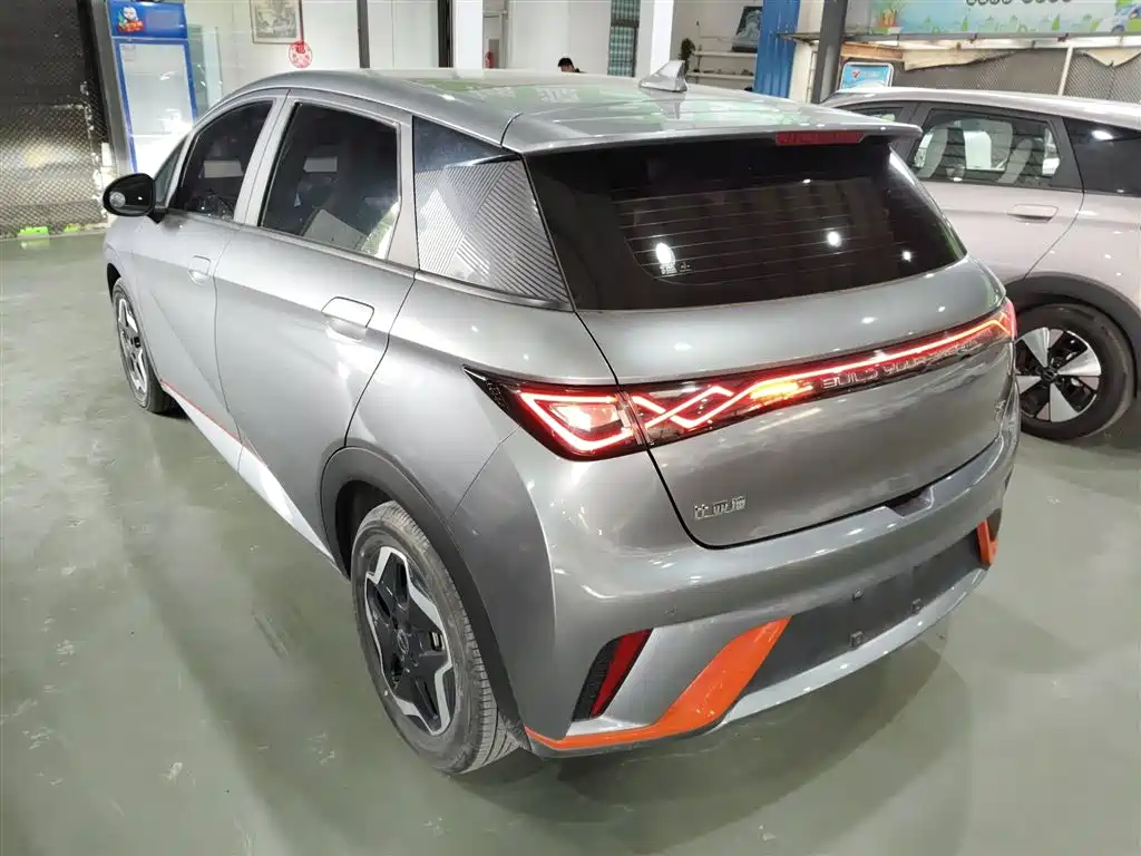 BYD Dolphin 2021 Model 405km Fashion Edition фото 23