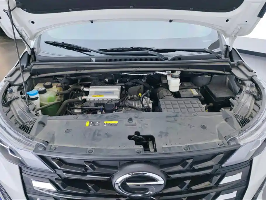 GAC TRUMPCHI M6