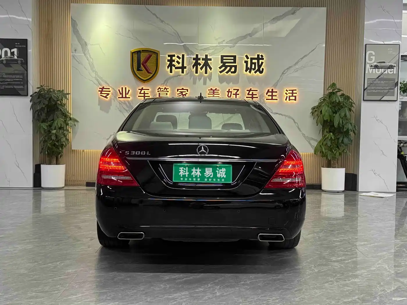 Mercedes-Benz S-Class 2010 S 300 L Luxury фото 39
