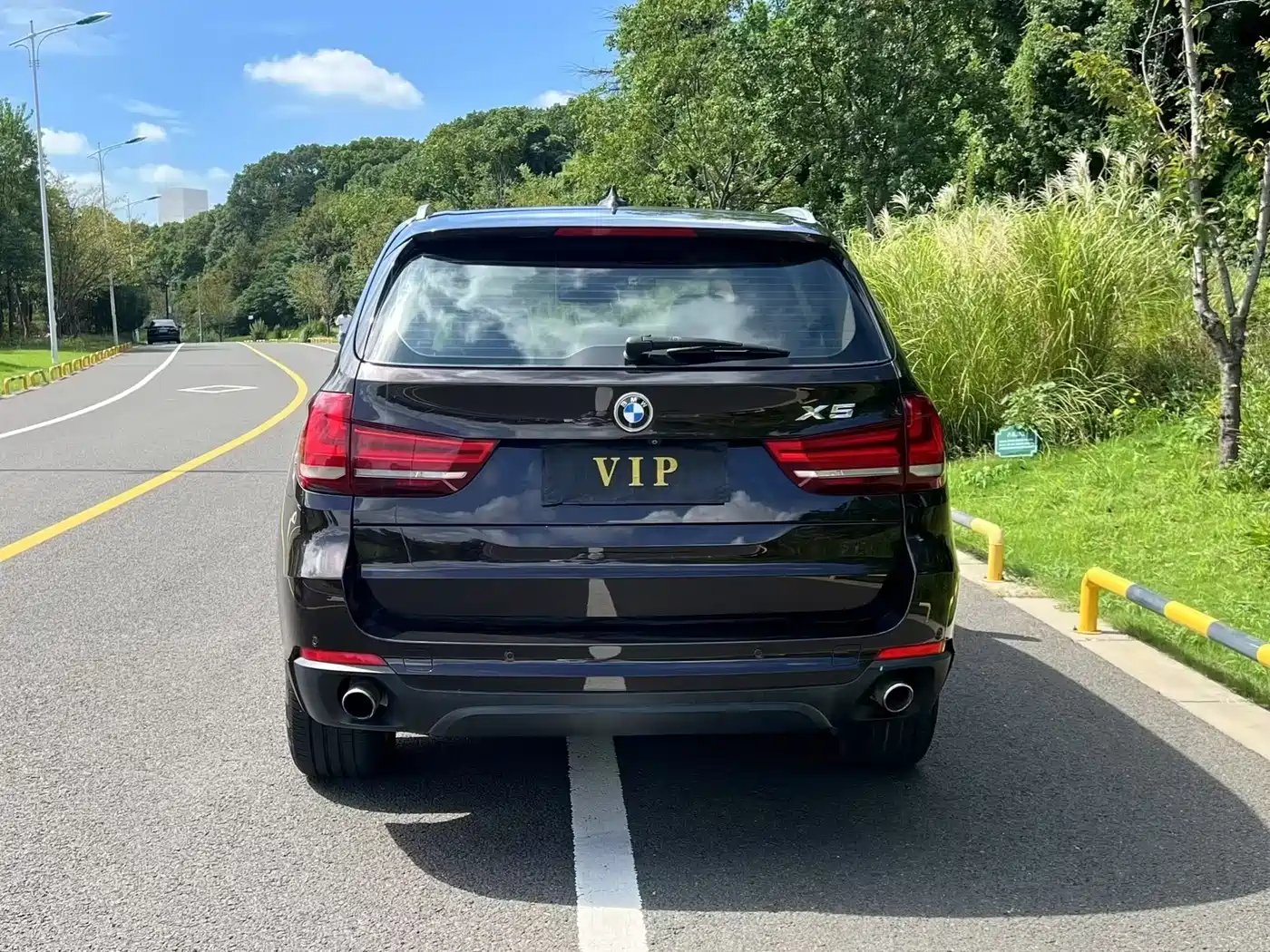 BMW X5 (Import) 2014 xDrive35i Luxury фото 9