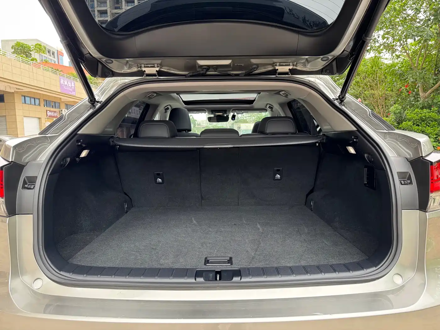 Lexus RX 2020 300 AWD Elegance Edition China V фото 23