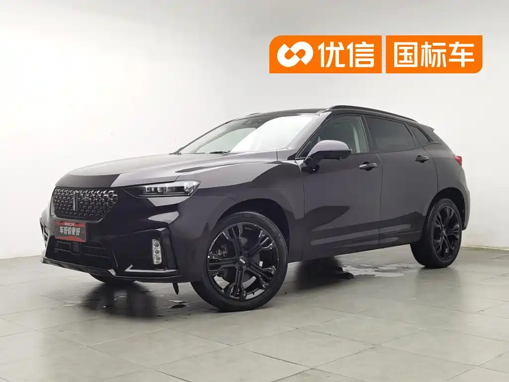 WEY VV7 2020 2020 Model 2.0T Flagship