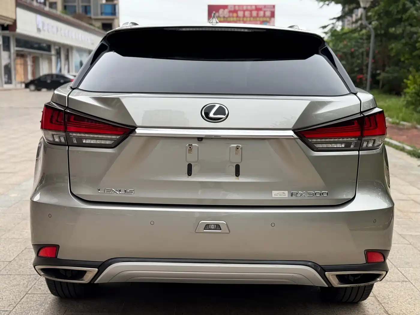 LEXUS RX