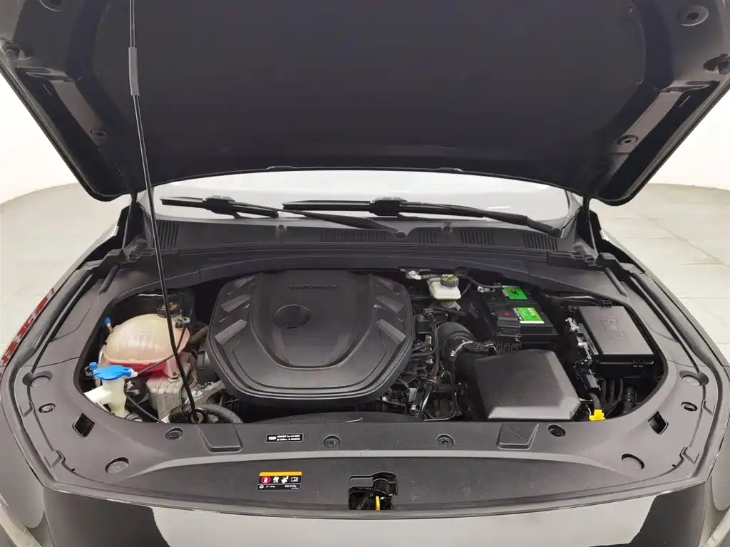 GEELY AUTOMOBILE XINGRUI