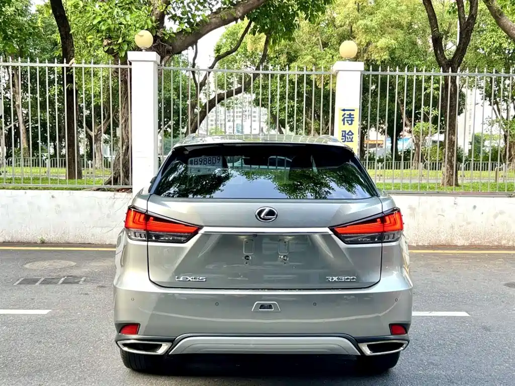 Lexus RX 2020 Facelift 300 AWD Elegance Edition фото 8