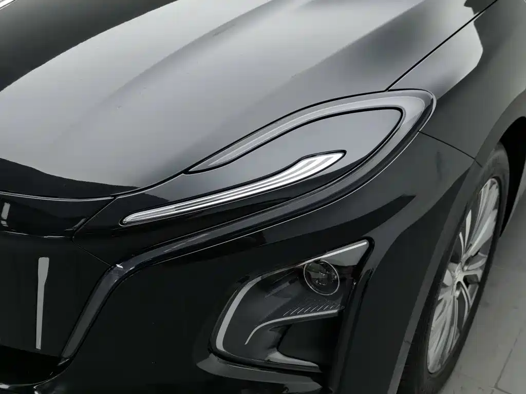 Hongqi E-QM5, миниатюра 7