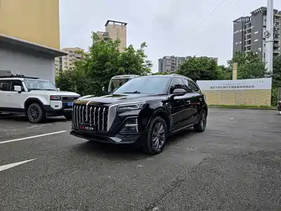 Hongqi HS5