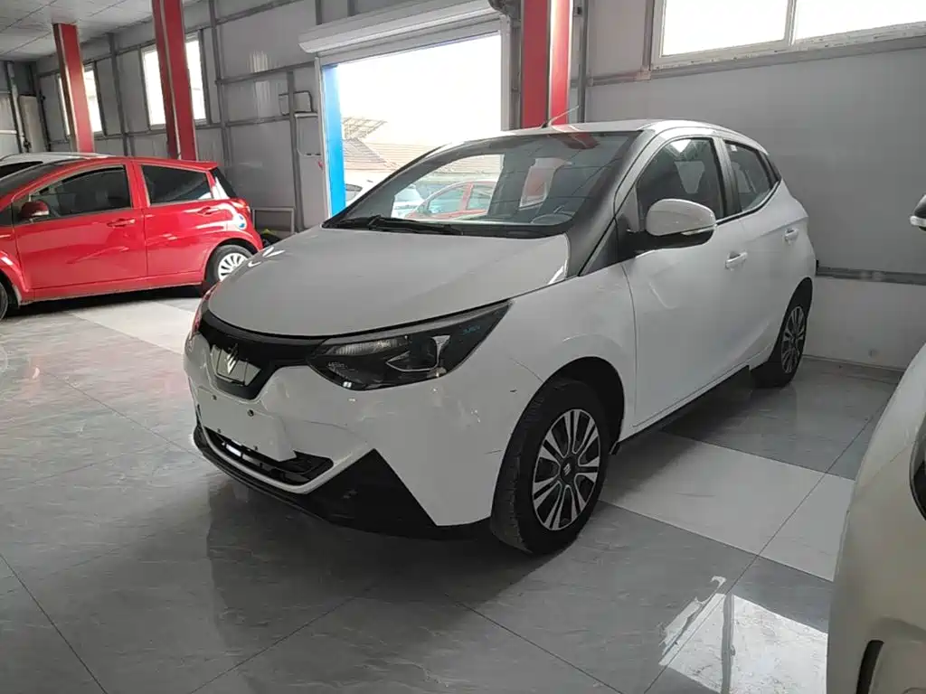 JMCG New Energy Little Kirin 2025 2024 201km Comfort Model