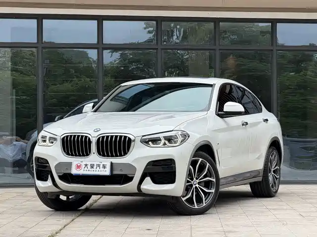 BMW X4 2020 xDrive25i M Off-road Package