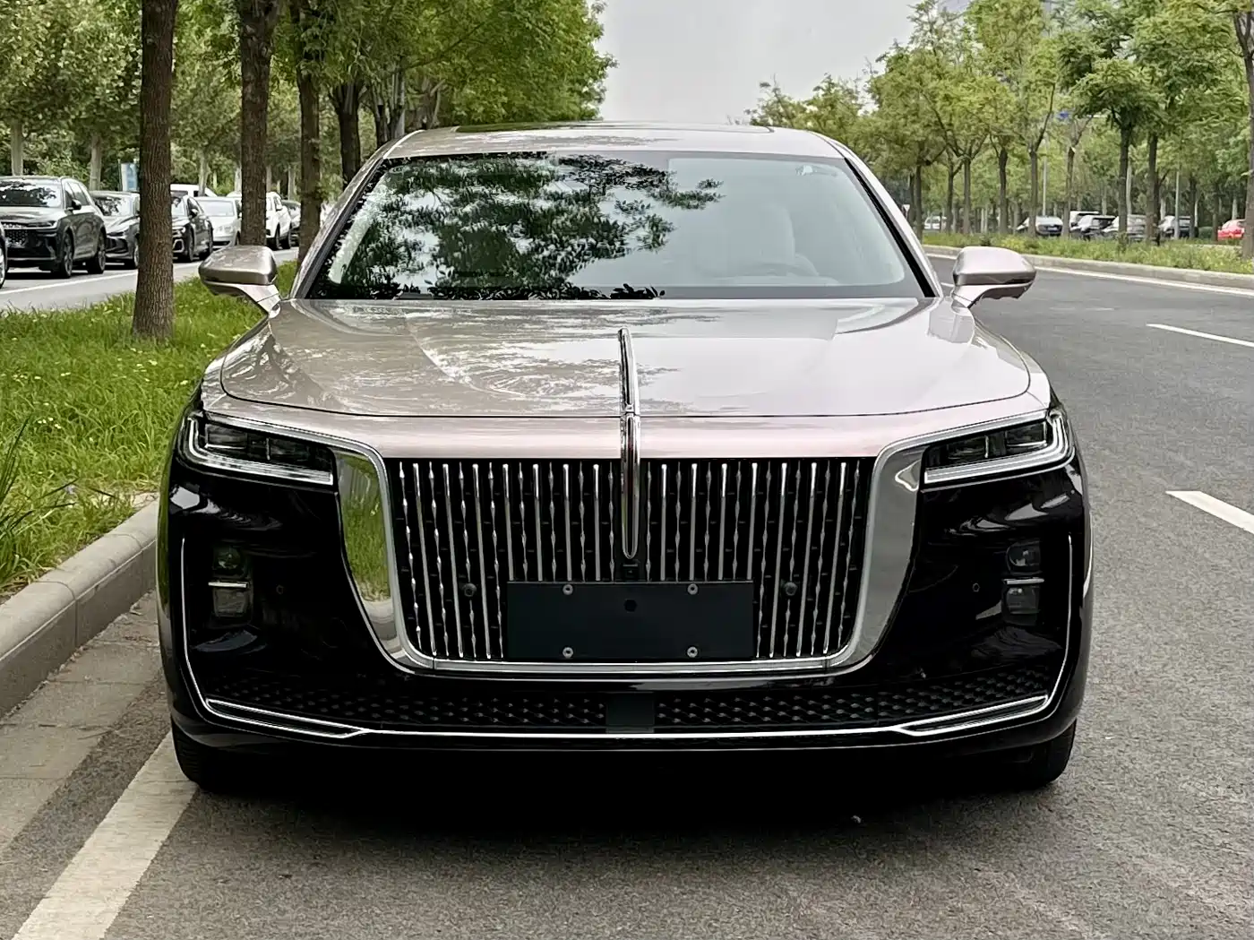 Hongqi H9 2020 3.0T Smart Connection Qi Chang Edition фото 2