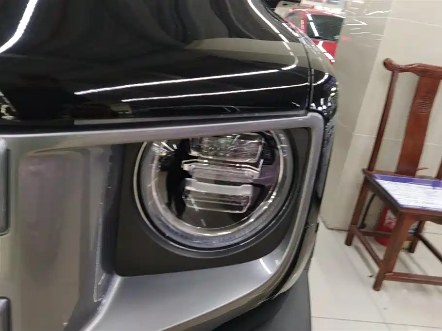 HAVAL BIG DOG