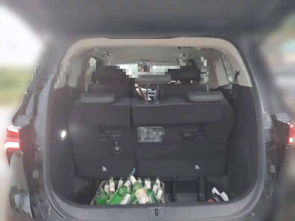 Dongfeng Fengxing Starlight V9 2025 2026 Beyond Joy Series 200km Luxury
